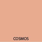 COSMOS