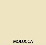 MOLUCCA